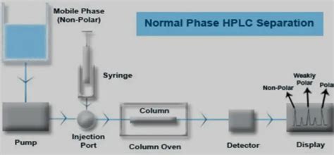 Difference Between Reverse Phase And Normal Phase Hplc - Relationship ...