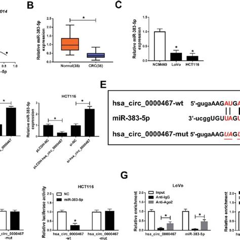 Hsa Circ 0000467 Was Elevated In CRC Tissues And Cells A And B The