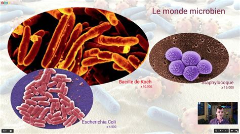 Le Monde Microbien Wikipedia