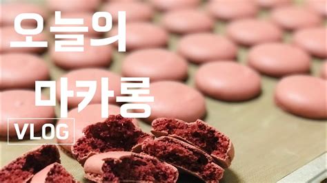 마카롱 꼬끄만들기 브이로그 Macaron Vlog Youtube