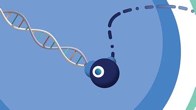 Browse thousands of Dna Animation images for design inspiration | Dribbble