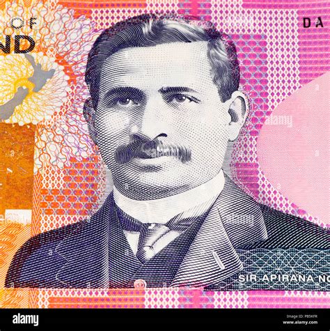 50 New Zealand Dollar Bank Note New Zealender Dollar Is The National