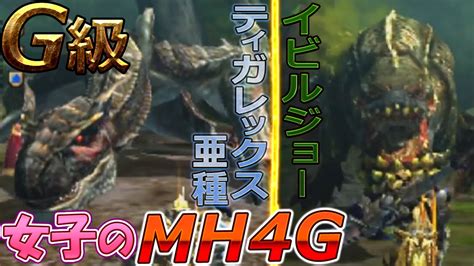 【mh4g】g級 イビルジョーandティガレックス亜種 ガンランス【集会所g級】 Youtube