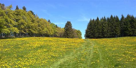 Wanderung Mont Soleil Mont Crosin Sonceboz