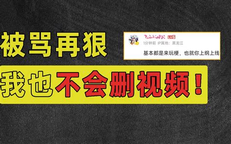 我因批评数十万自称老奴的人被骂，但被骂再狠，我也不会删视频！【洞察社会系列85】 哔哩哔哩