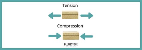 Tension and Compression - BLUMESTONE