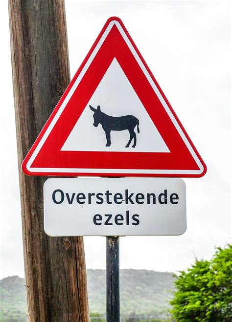 Bonaire Island in the Caribbean: Surprising Flamingos, Quiet, and