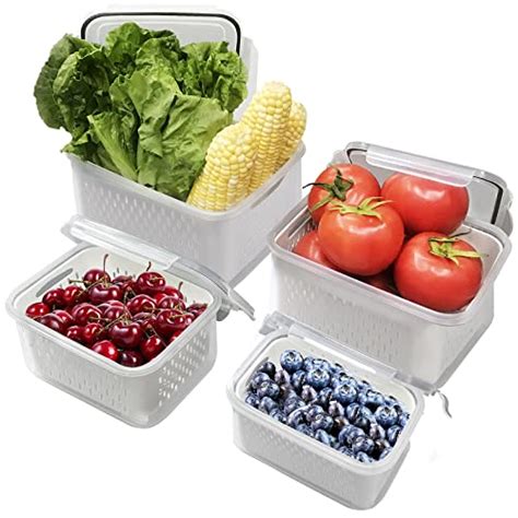 10 Best Food Containers Fruit Of 2023 Glory Cycles