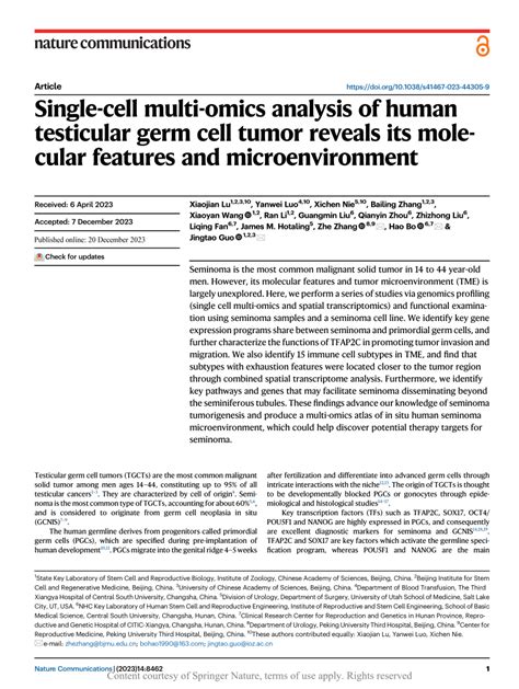 Pdf Single Cell Multi Omics Analysis Of Human Testicular Germ Cell