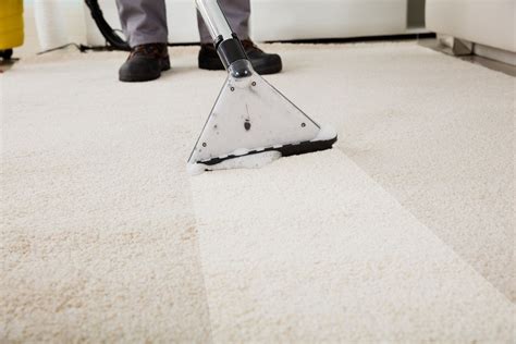 What Is The Best Way To Clean Your Carpet Denver Co