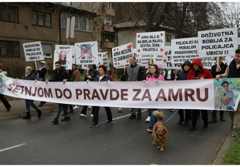 Otkazan protest zbog ubistva Amre Kahrimanović