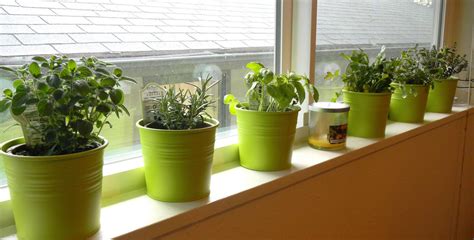 Indoor Window Herb Garden - Best Garden Ideas