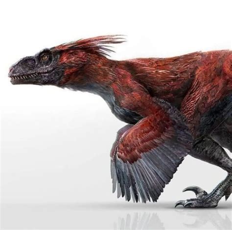 Jurassic Fan on Instagram: “What do you think about Pyroraptor design ...