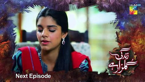 Zindagi Gulzar Hai Episode Teaser Fawad Khan Sanam Saeed