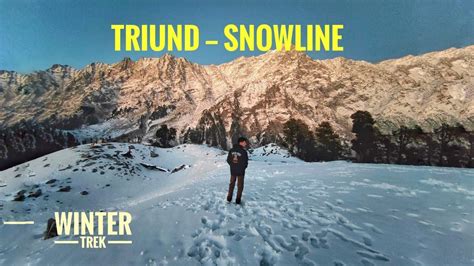 Winter Trek To SNOWLINE 3350m Snowfall Dharamshala Via Triund