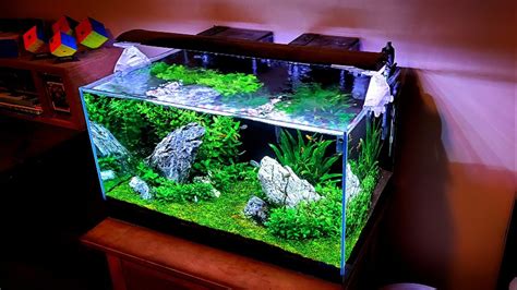 Aquarium Sans Rebord Le Plus Conomique