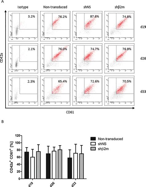 Characterization Of Hla Class I Silenced Ipsc Derived Platelets Plts