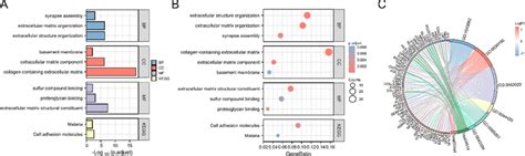 Go Kegg Analysis Enrichment Results Download Scientific Diagram