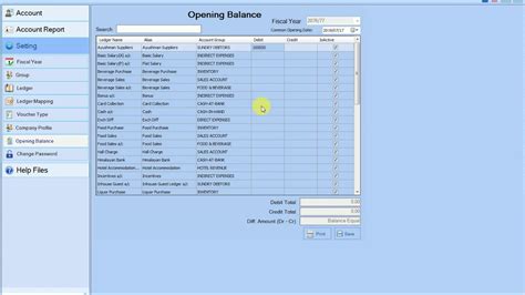 How To Enter Ledger Opening Balance Youtube