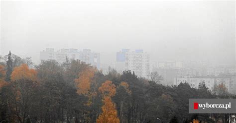 Smog W Kielcach I Regionie Normy Przekroczone Ponad Pi Ciokrotnie