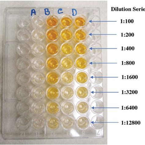 Pdf A Simple Economical And Effective Elisa Using Simulated Serum