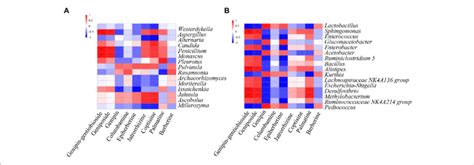 Spearman Correlation Heatmap Between Dominant A Fungal And B