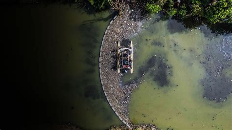 Ecobarreiras Como Redes E Gal Es Retiram Toneladas De Lixo Dos Rios