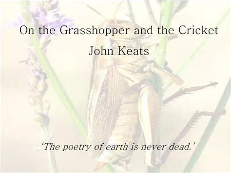 Ppt On The Grasshopper And The Cricket John Keats Powerpoint