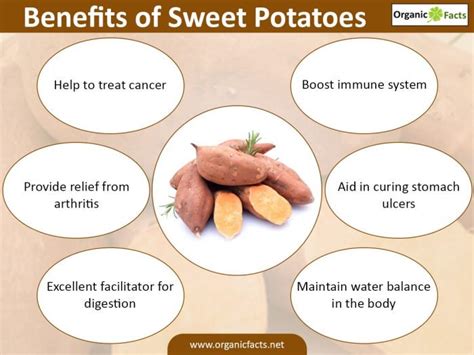 Benefits Of Sweet Potatoes Nikki Kuban Minton