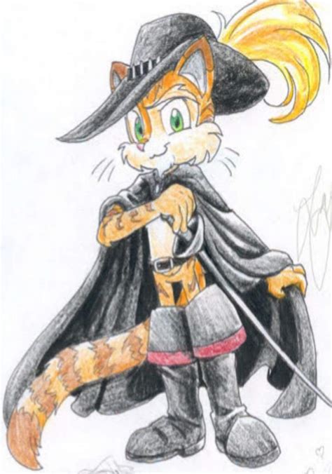 Puss In Boots Sonic Style Puss In Boots Main Amino Amino