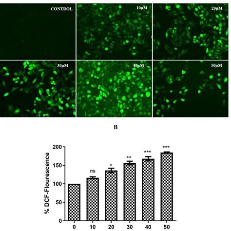 ROS generation in HeLa cells treated with emodin 10 50 μM for 3 hr