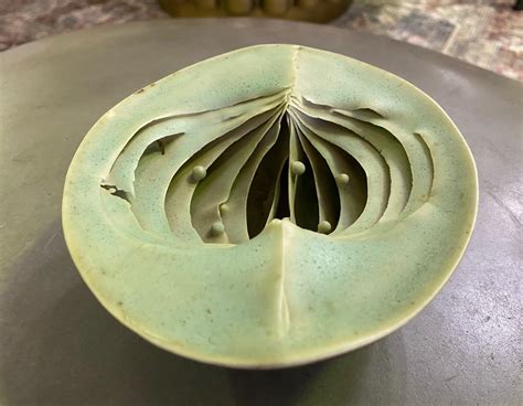 Peter Simpson Signed British Uk Studio Pottery Bowl Organic Nature Form