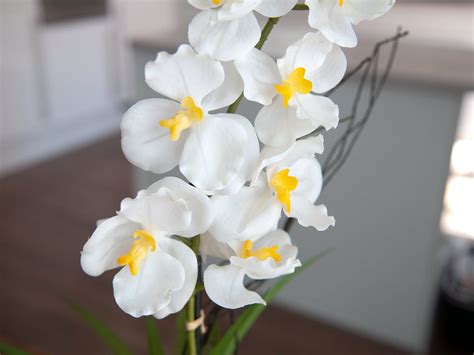 Orchid E Artificielle Acheter Fausse Orchid E Haut De Gamme Floranet