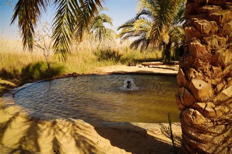 Circuit en Egypte Majestueux Oasis du Désert Occidental Le Voyage