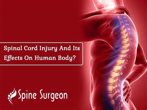 Spinal Cord Injury And Its Effects On Human Body? | Spine Surgeon