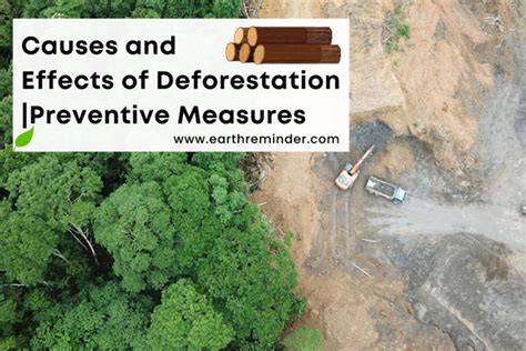 What Is Deforestation Causes Effects And Solution Times 50 OFF