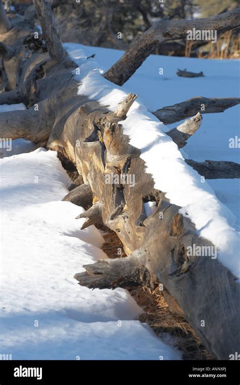 Sunset Crater, Northern Arizona Stock Photo - Alamy