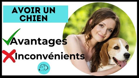 Les Avantages et Les Inconvénients d Avoir ou d Adopter un Chien YouTube