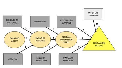 Compassion Fatigue Physiopedia