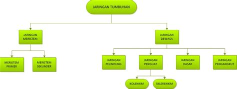 Peta Konsep Jaringan Tumbuhan Homecare