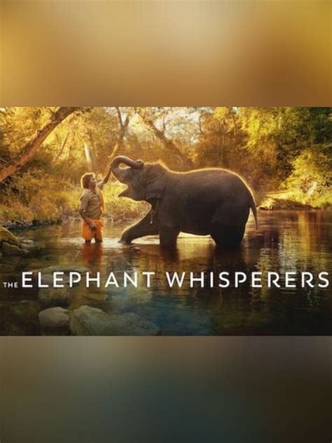 Elephant Whisperers The Indian Documentary That Won Oscar In 2023