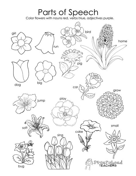 Parts Of Speech Coloring Pages