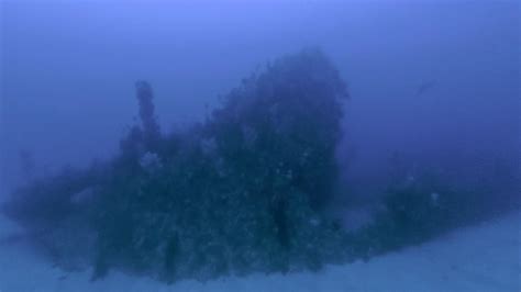 Moment Skinny Dipping Friends Dive Naked Into Pool They Thought Was