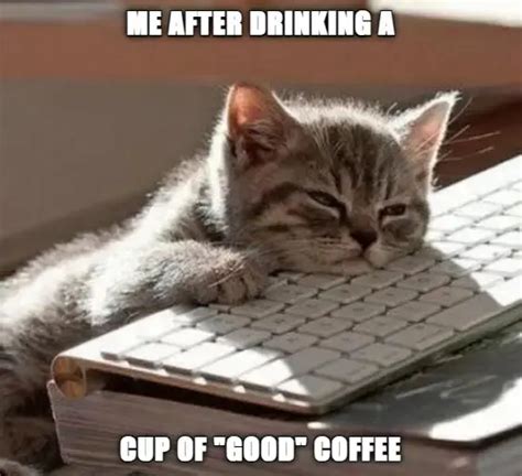 50+ Funny Coffee Memes - Every Caffeine Addict Can Relate To