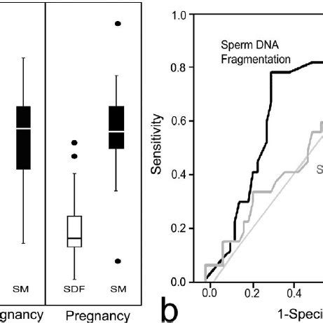 A Sperm Dna Fragmentation Sdf And Sperm Motility Sm In Pregnant