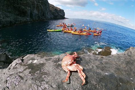 Attivit In Eco Kayak E Snorkeling In Riserva Marina A Tenerife Fornito