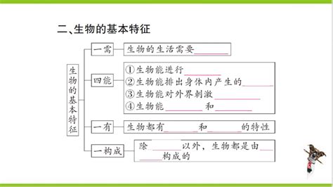 【掌控课堂 创优作业】人教版生物七上期末复习 专题一 生物和生物圈 课件版 21世纪教育网