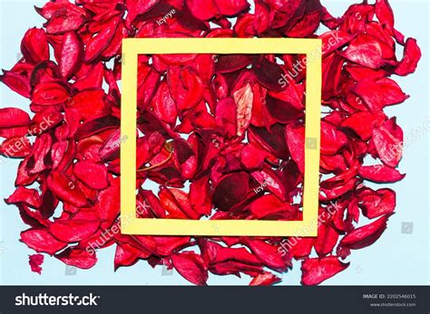 Potpourri On Blue Background On Potpourri Stock Photo