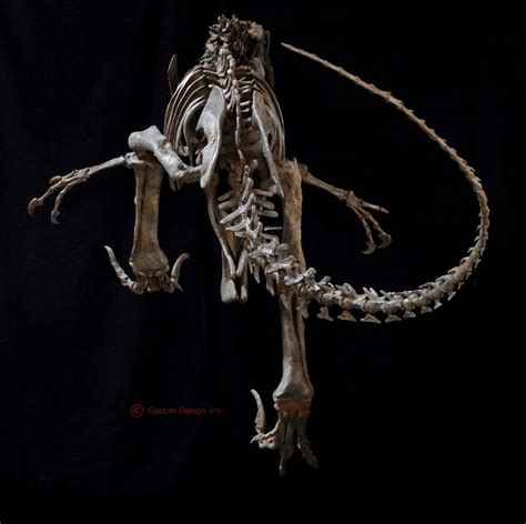 New Utahraptor Skeleton Replica | DINOSAURS ROCK SUPERSTORE | Fossil & Mineral Specimens