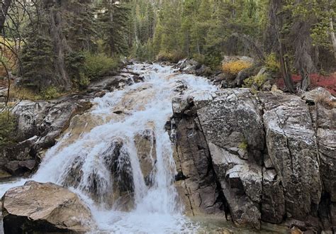 Spring Pond Nature Trail Discover The Enchanting Beauty And Serenity